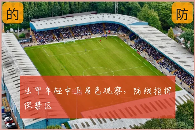 法甲年轻中卫角色观察,防线指挥保禁区